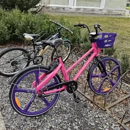 Gemeinsame Fahrräder