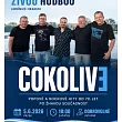 Obrázek č.9