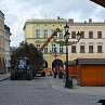 Nový Jičín už má svůj vánoční strom