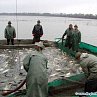 Podzimní pooderské rybářské slavnosti