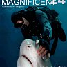 Výstava fotografií - Magnificent 24