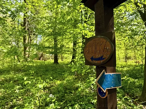 Well trail around Puntík