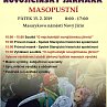 Novojičínský jarmark s&nbsp;masopustem