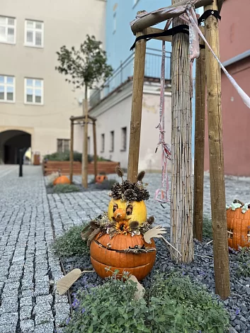 Dýně z&nbsp;Masarykova náměstí se přemístily na Laudonovo nádvoří!
