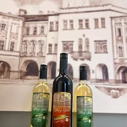 Exkluzivní vína z Moravy – k zakoupení v Návštěvnickém centru Nový Jičín!