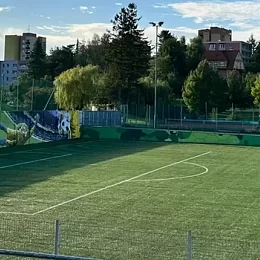 Hřiště s&nbsp;umělou trávou