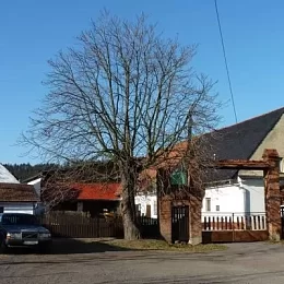 Občanský sdružení Bludička