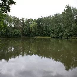 Chov ryb Albrechtičky