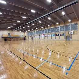 Sportovní organizace a sdružení